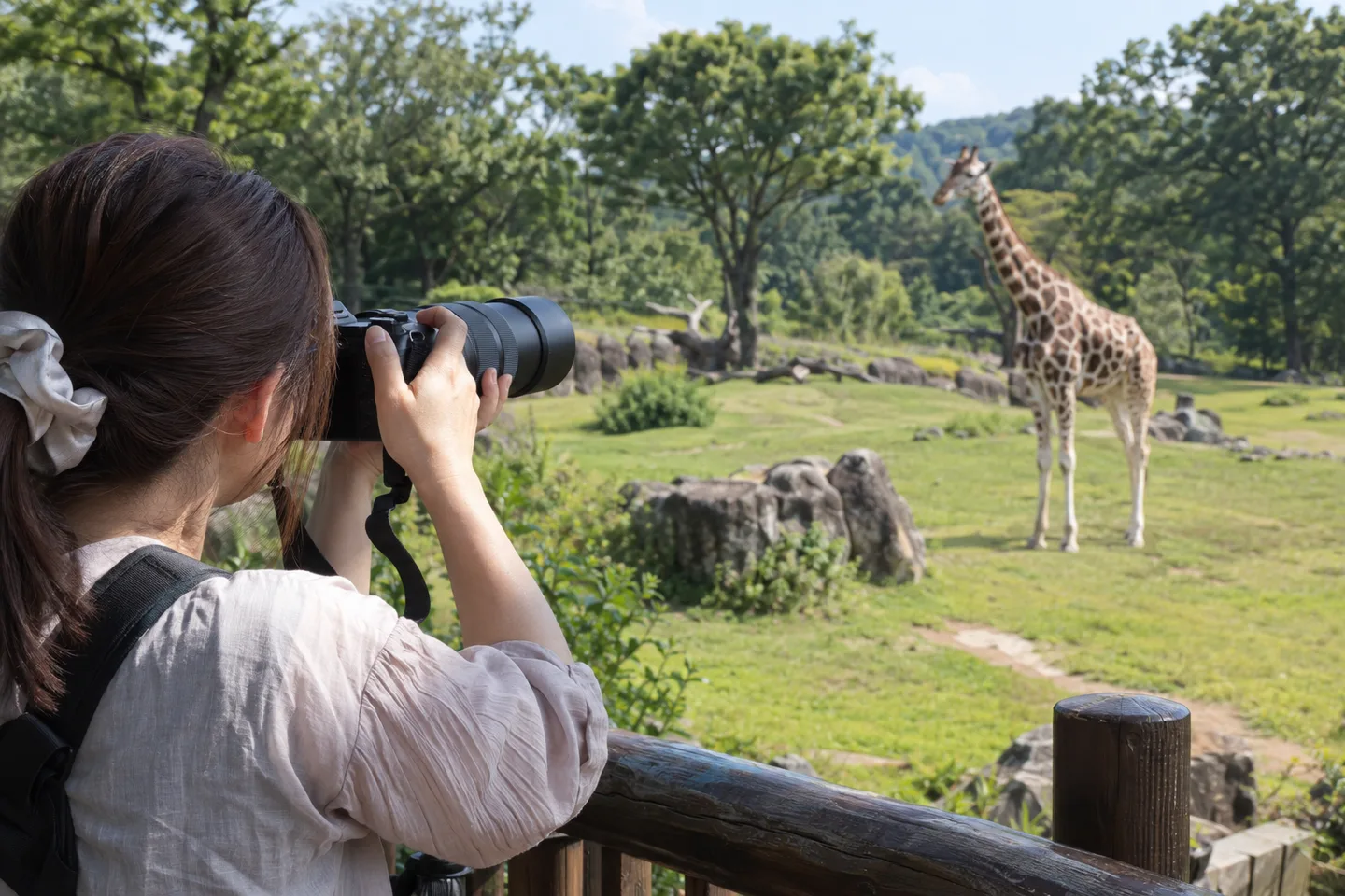 動物園で遠くのキリンへ高倍率ズームを向ける女性