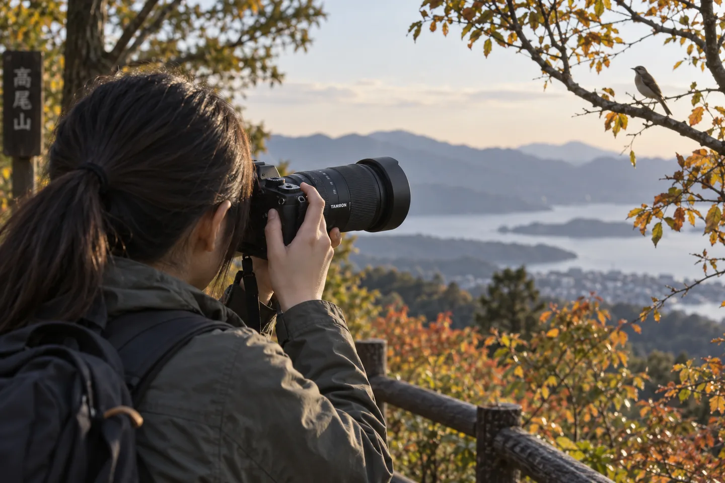 タムロン18-300mmを付けたカメラで遠くの鳥を撮る場面